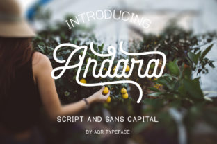 Andara Script: A Soft, Confident Script Font for Real Branding