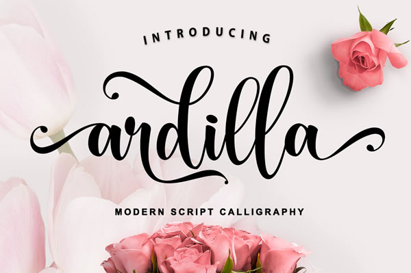 Ardilla Font: A Handwritten Script for Warm, Professional Branding