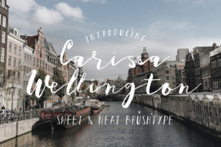 Carissa Wellington: A Handwritten Script Font That Feels Like It Belongs