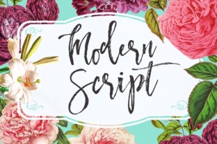 Modern Script: A Refined Display Font for Editorial Design