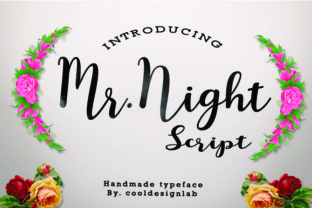 Mr. Night: A Handmade Script Typeface for Campaign Impact