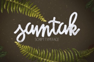 Samtak Script: A Designer’s Real-World Review
