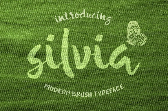 Silvia: A Painterly Script Font for Editorial Charm