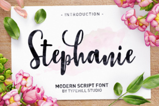 Stephanie Script: A Feminine Modern Typeface for Handmade Brands